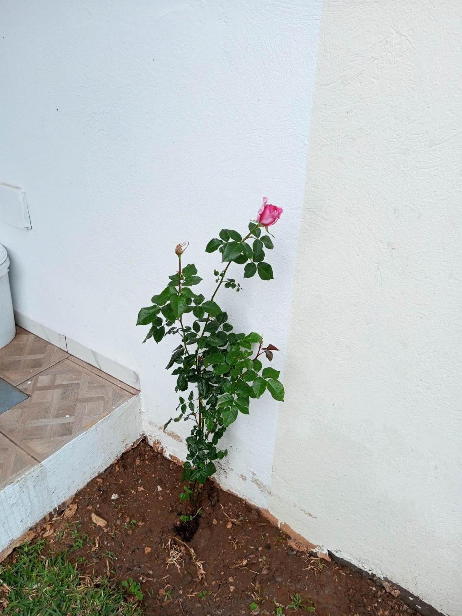 Villa Foundou Gammarth *