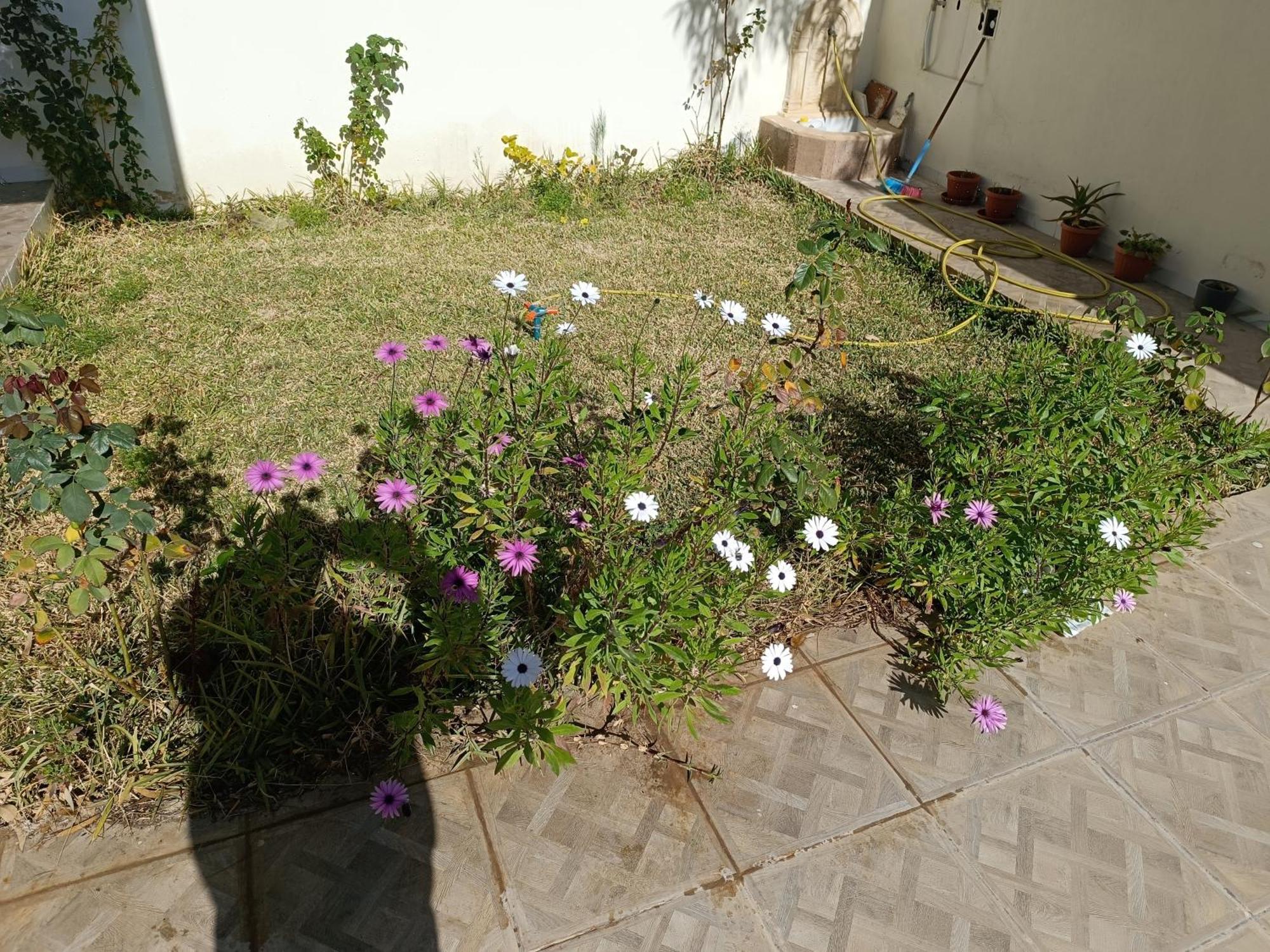 Foundou Gammarth Villa *